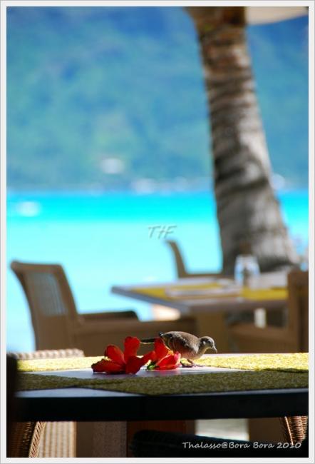Thalasso103.JPG